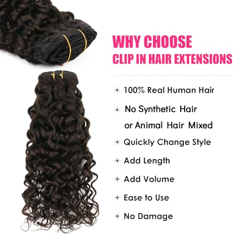 Natural Wavy Clip in Hair Extensions Real Human Hair Natural Wave Clip ins Human Hair Extensions 22 Inch 120g Double Weft Dark Brown Curly Clip in Extensions Full Head Human Hair #2