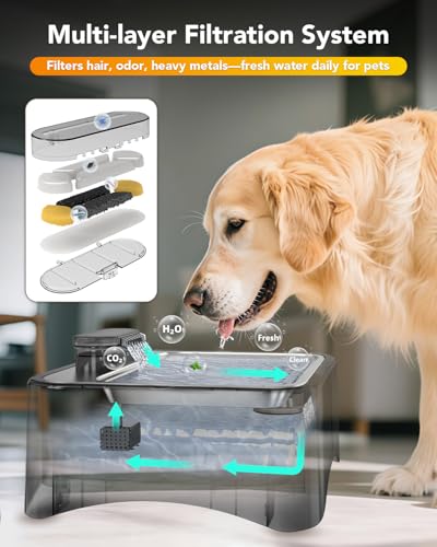 UPSKY 2.25Gal Elevated Dog Water Fountain, 4 Heights Adjustable Pet Fountain for All Dog Sizes, 304 Stainless Steel Tray I...