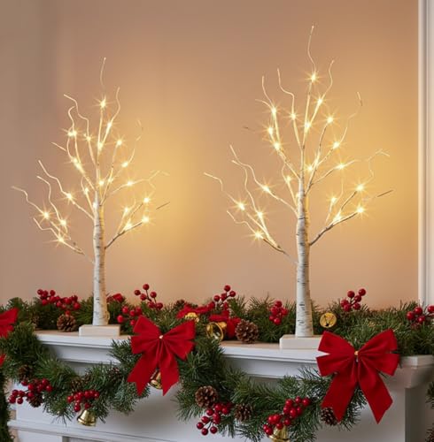 EAMBRITE Lighted Birch Tree Christmas Decorations Indoor for Home, 2Pack 24 LED Battery Operated/USB Tabletop Mini Small A...