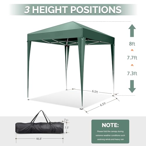 VINGLI Pop Up Canopy Tent with Sidewalls, Outdoor Gazebo Canopy Tent, Patio Event Tents Outdoor Event Shelter for Parties...