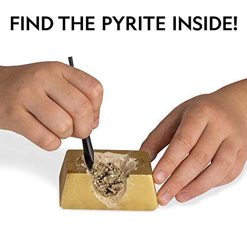 National Geographic Fool’s Gold Dig Kit – 12 Gold Bar Dig Bricks with 2-3 Pyrite Specimens Inside, Party Activity with 12 ...