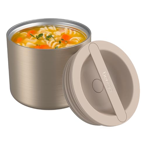 Bentgo Stainless Insulated Food Container - 2.4 Cups (19 oz), Triple-Layer Insulation, Vacuum Seal, Leak-Proof, Built-In H...