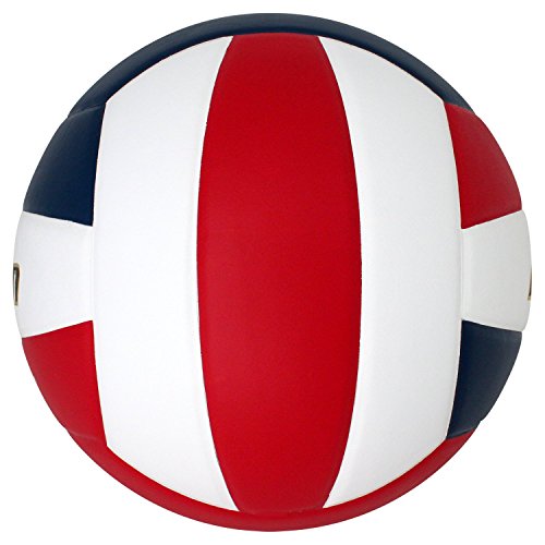 Baden | Perfection | Premium Leather | Indoor Official Game Volleyball | 13U to College | Official Size + Weight | NFHS + AVCA Approved