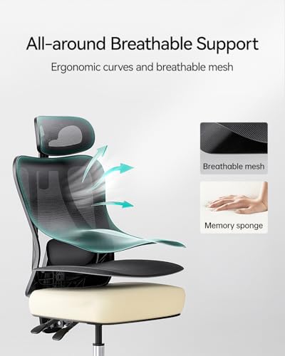 Hbada P3 Ergonnomic Office Chair with 2D Adjustable Lumbar Support, Office Chair with Adjustable Headrest and Armrest, 14...