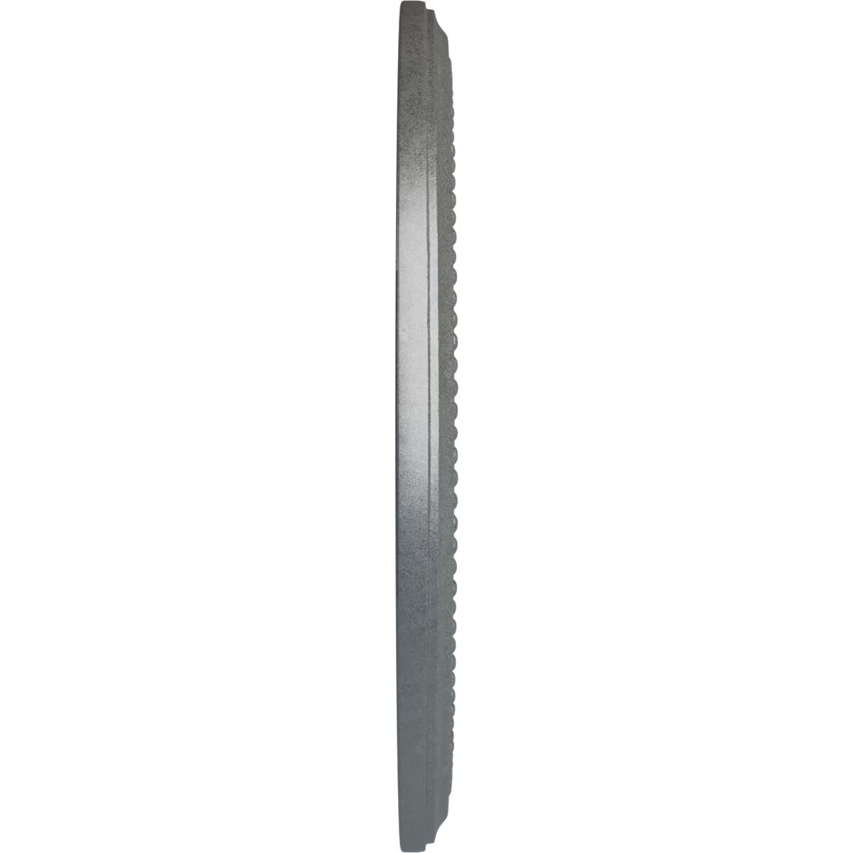 Ekena Millwork Cm18Dipls Diane Ceiling Medallion, 18Od X 3 5/8Id X 1 1/8P (Fits Canopies Up To 5 3/8), Hand-Painted Platinum