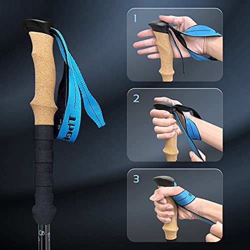 TheFitLife Carbon Fiber Trekking Poles – Collapsible and Telescopic Walking Sticks with Natural Cork Handle and Extended E...