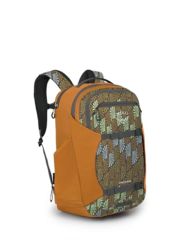 Osprey Proxima 30L Campus Laptop Backpack - Organized Everyday Pack with Tech Storage, Water Bottle Pockets, and Comfortab...