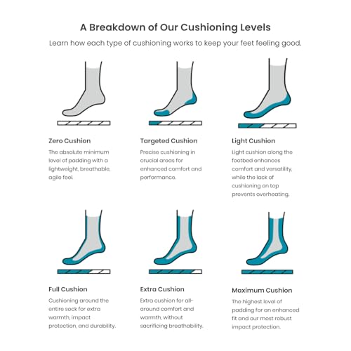 Smartwool Men's Run Zero Cushion Low Ankle Socks