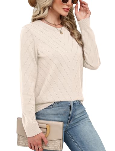 Sampeel Womens Sweaters Crew Neck Long Sleeve Tops Knit Soft Pullover Sweaters Cozy Dressy Casual Shirts Fashion Clothing