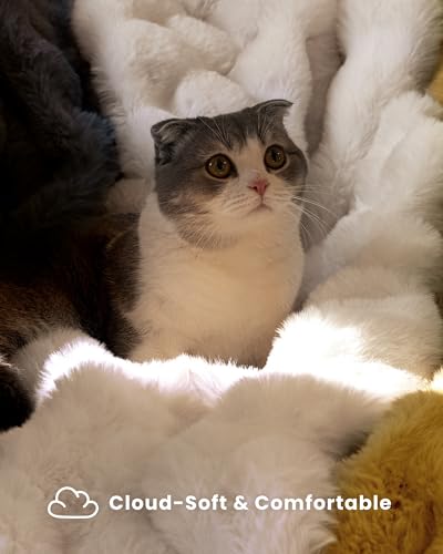 blunique Ultra Soft Cozy Faux Fur Throw Blanket, Fuzzy Plush Thick Bubble Blanket, Luxury Fluffy Blanket for Couch, Sofa, ...