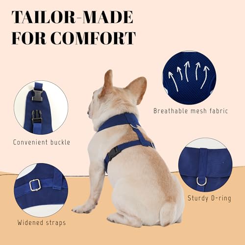 AVERYDAY Dog Tuxedo for Wedding Outfit, Dog Suit and Tie Costumes for Birthday, Halloween, Cosplay, Christmas Party, Pet F...