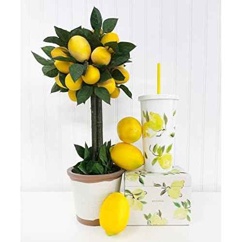 Kate Spade New York Insulated Tumbler with Reusable Straw, 20 Ounce Travel Cup with Lid, Lemons