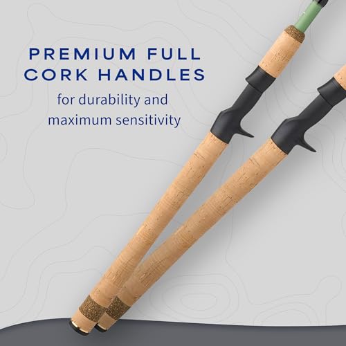 Shakespeare Wild Conventional Casting Rod