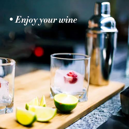 NewGF Cocktail Shaker,24oz Drink Mixer with Built-in Strainer for Mixing Drinks Margaritas,Beginner Friendly Stainless Ste...