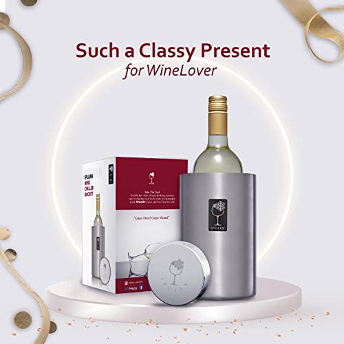 IPUJAN Wine Chiller Bucket with Stainless Ice Stone - Champagne Bucket for 750ml Single Bottle Cold up to 5 Hours - Iceles...