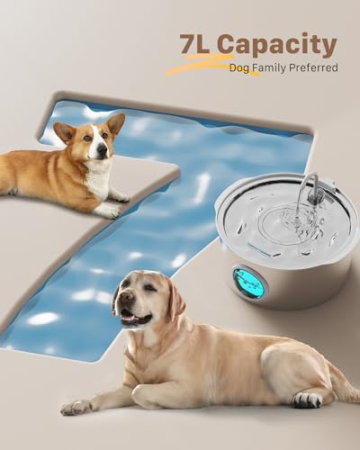 Dog Water Fountain for Large Dogs: 7L/236oz/1.8G Dog Fountain Stainless Steel - Big Cat Drinking Fountain Indoor - Super Q...