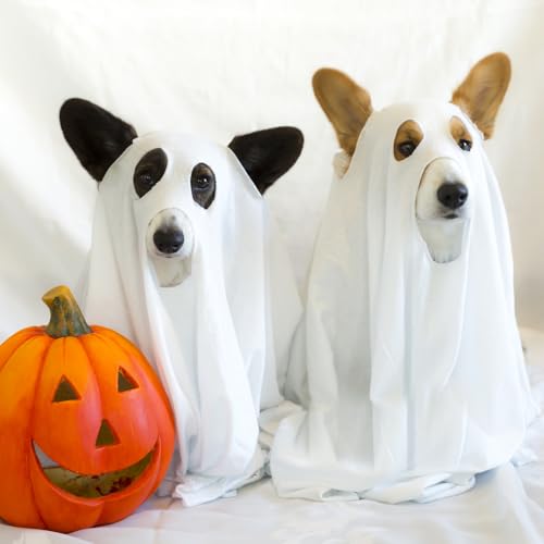 Ahzemepinyo Halloween Ghost Dog Costume - White Ghost Costume for Dogs & Cats with Opened Ear - Large