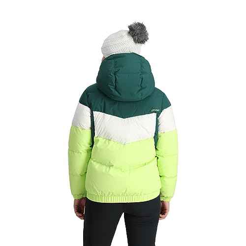 Spyder Women's Eastwood Down Hooded Jacket
