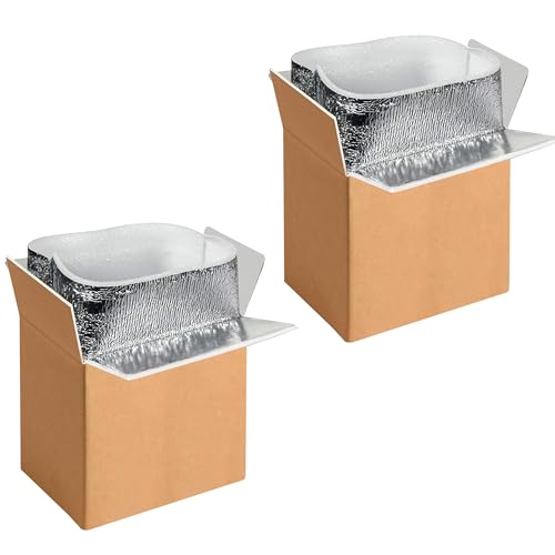 2 Pack Insulated Shipping Boxes with Aluminum Foil Liner,Thermal Insulation Cold Pack Shipping Boxes for Frozen, Reusable ...