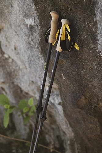 ALPS Mountaineering Alliance Trekking Poles, Set of 2, Black