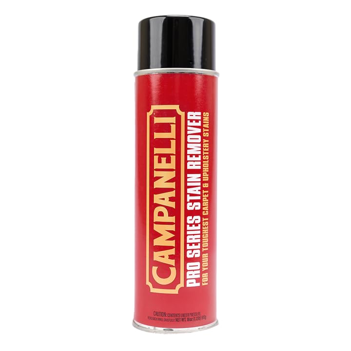 CAMPANELLI Pro Series Stain Remover Spray | Precision Point & Spray Carpet Cleaner for Pet Stains and Odors - Spot Remover for Carpets, Fabrics, Upholstery & Household Spills | 18oz Aerosol