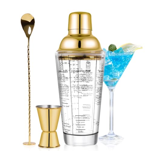 SAVORLIVING 14oz Glass Cocktail Shaker Set, Margarita Mixer-Shaker with Built-in Strainer and Measuring Jigger & Mixing Sp...