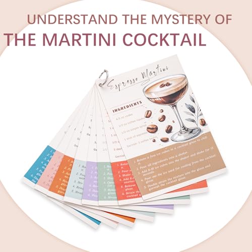 USEEKRIL Travel Martini Kit with 2 Glasses,Travel Bartender Kit with Case Recipe Cards, Cocktail Shaker Set for Cocktail M...