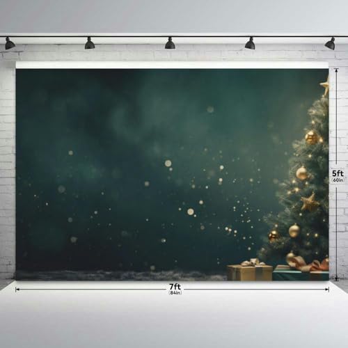 Holiday Illumination and Decoration at Christmas time Bokeh Lights Backdrop Bitrhday Party Decorations Photography Studio ...