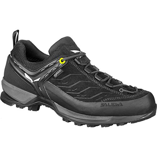 Salewa Men's Mountain Trainer Gtx Hiking Shoe