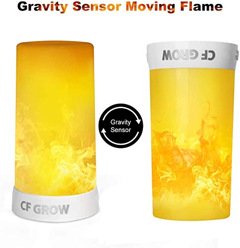 LED Flame Effect Fireplace Light with Remote & Timer, USB Rechargeable Battery Operated Flameless Candle Light for Room Party Bar Decor - 2 PCS