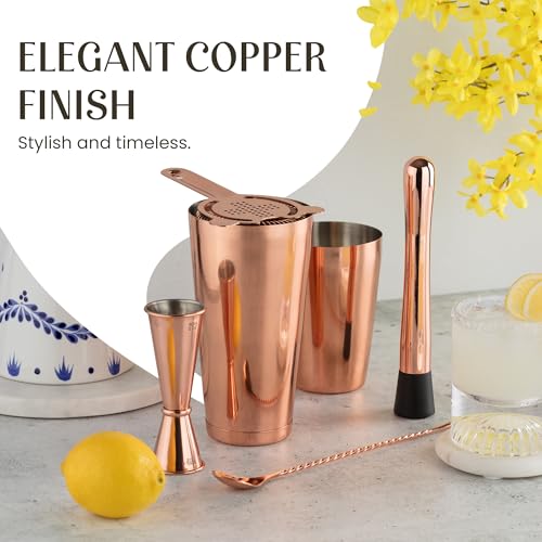 Mixology & Craft Cocktail Shaker Set: 11-Piece Weighted Boston Shaker Kit | Complete Cocktail Kit Gift Set | Top Bartender...