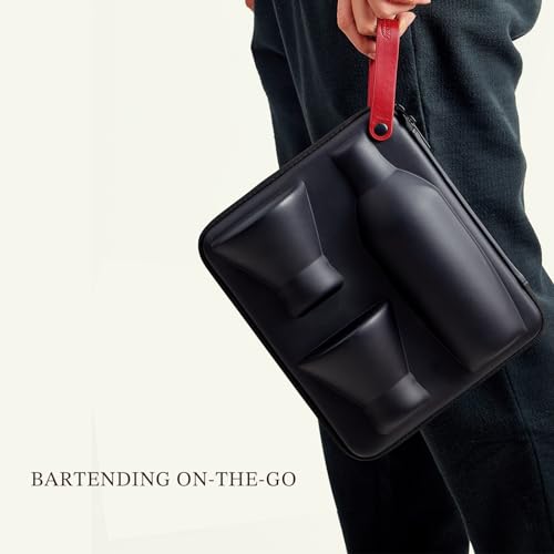 KITESSENSU Cocktail Shaker Set with Carry Case: Vacuum Insulated Martini Shaker with Built-in Strainer, 2 Martini Glasses,...