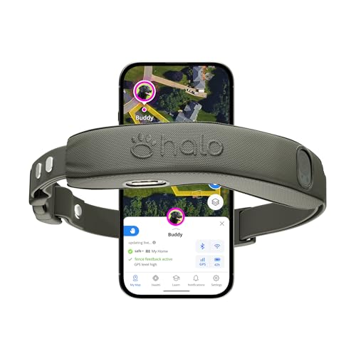 Halo Collar 5, New Wireless Dog Fence & GPS Dog Collar, Subscription Required, Waterproof, Graphite, One Size