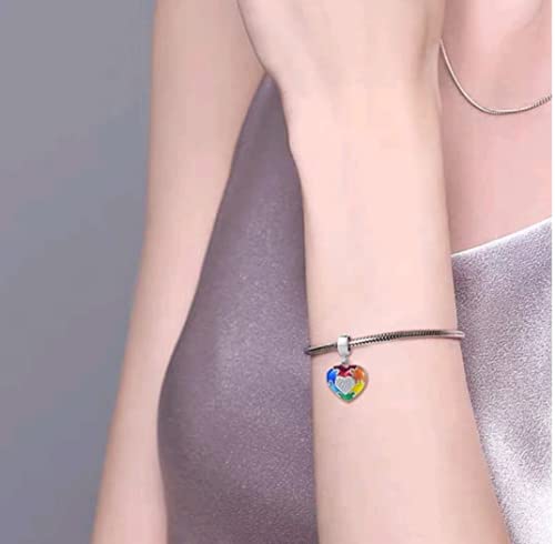 DWJSu Puzzle Piece Autism Awareness Enamel ASD Heart Bead Charms Compatible with Pandora Charm Bracelet Necklace for Women
