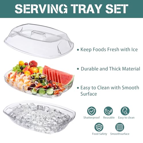 Chilled Serving Platters,Chilled Veggie Tray with Lid,Ice Serving Platters and Trays Cold Travel,Fruit Ice Serving Tray,Ap...