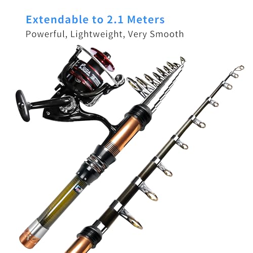 Fishing Pole Kit, Carbon Fiber Telescopic Fishing Rod and Reel Combo with Spinning Reel, Line, Bionic Bait, Hooks and Carr...