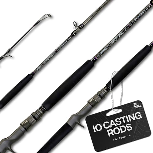 Dark Matter IO Casting Rod Fast Action Fishing Rods for Saltwater Rod and Sea Fishing Rod - Carbon Fishing Rod, Medium Hea...