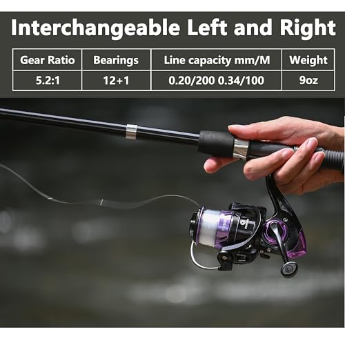 OLOLYAP Fishing Pole Combo 2PCS Telescopic Fishing Rod and Aluminum Reel Combos with Carrier Bag Sea Saltwater Freshwater ...