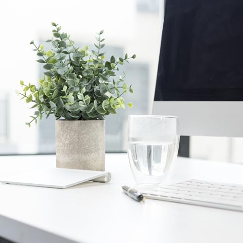 Coferset 2 Pack Small Fake Plants Eucalyptus Potted Artificial Plants for Shelf Desk Home Bathroom Farmhouse Room Coffee T...