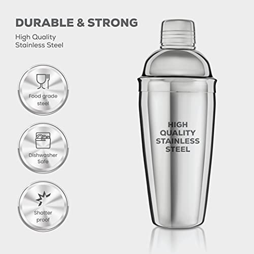 FineDine 10-Piece Cocktail Shaker Set with Travel Bag - Stainless Steel Shaker Set Bartender Kit - Mixology Bartender Kit...