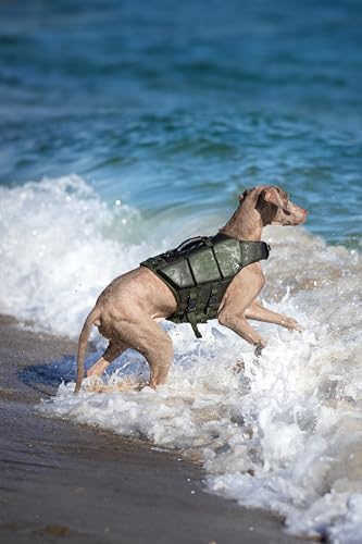 NOAH & PAW Dog Life Jacket, Human Standards Lifejacket Design, Dog Life Vest for Swimming and Boating, 3X Foam Support for...
