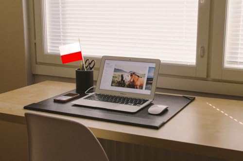 10 Pack Poland Flags -PL Handheld Flag- 5x8 in,Polish Mini Flag. Suitable For Party Decorations, Store Displays, Bar Decor...