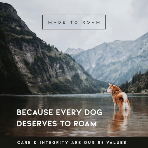 MADE TO ROAM Premium Explorer Leash - Climbing Rope Leash with Autolocking Aviation Aluminum Carabiner - Maine Marina, 6ft
