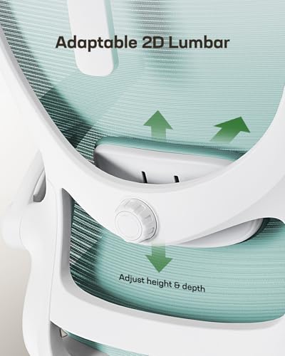Marsail Ergonomic Office Chair: Office Desk Chair with High Back Mesh and Adjustable Lumbar Support Rolling Work Swivel Ta...