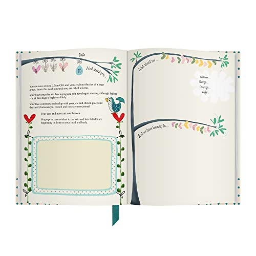 Bump To Birthday: Pregnancy & First Year Journal To Capture Memories Of the Growing Bump, the Birth & the New Baby