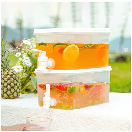 1 Gallon Beverage Drink Dispenser for Fridge, Plastic Beverage Dispenser with Spigot，Juice Container Sealed with Filter Sc...