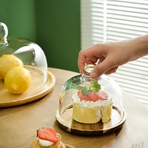 Charcuterie Snow Globes, Mini Cake Stand Display with Wooden Tray and Glass Dome Lid, Charcuterie Board for Cheese Dessert...