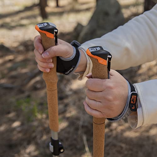 Terrain Alpha Vertex Carbon Trekking Poles, Walking and Hiking Sticks, Canyon Sunset
