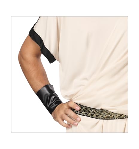 California Costumes Men's Deluxe Classic Toga Set