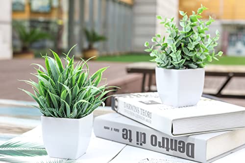 Der Rose 2 Pack Small Fake Plants Mini Artificial Potted Plants for Table Desk Home Laundry Room Bathroom Office Decor